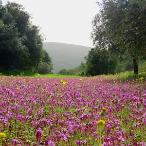 الأربعاء | ارتفاع على درجات الحرارة وطقس لطيف في أغلب المناطق