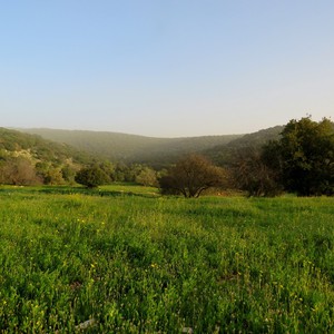 طقس مُستقرّ ومائل للبرودة الأحد .. وعودة ارتفاع الحرارة والغبار الاثنين