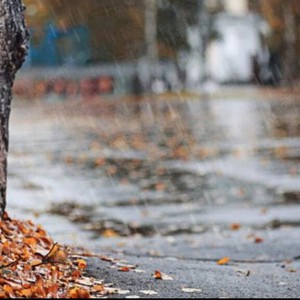 الأردن: أمطار أيلول.. هل تتأثر المملكة بالشتوة الأولى هذا الشهر؟