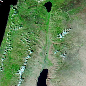 ظهور الغطاء النباتي الأخضر بشكل مُبكر في المملكة