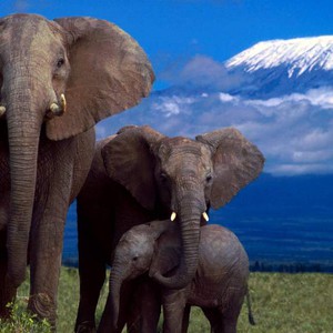 هكذا تستطيع الوصول إلى قمة جبل كليمنجارو