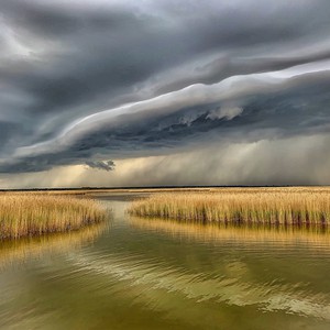 متى يتوقع بدء الأمطار على حائل والقصيم وحفر الباطن؟ .. طقس العرب يجيب