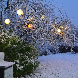 بالفيديو: بريطانيا تتأثر بموجة برد و مشهد لتساقط الثلوج في لندن