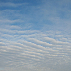 طقس العيد : أتربة مثارة مُحتملة وظهور للغيوم المتوسطة والعالية