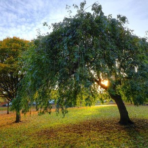 الأربعاء والخميس | انخفاص قليل على درجات الحرارة... طقس معتدل نهاراً ومائل للبرودة ورطب ليلاً