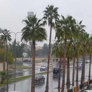 فرص الأمطار تبدأ الخميس في الجبيل وتصل ذروتها ليلاً