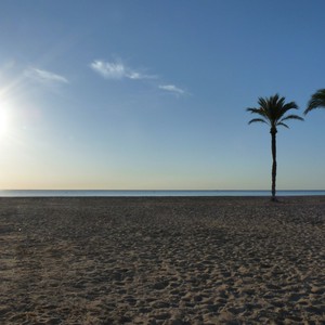 موجة حر ثانية تضرب اسبانيا والبرتغال 