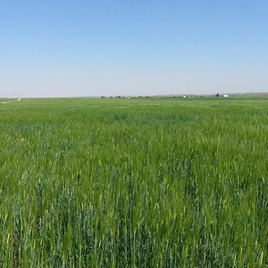 طقس الثلاثاء: شمس ساطعة والحرارة توالي ارتفاعها