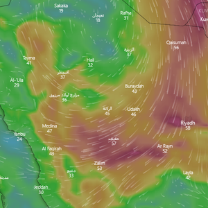 السعودية | عودة مرتقبة للأجواء المغبرة في بعض مناطق المملكة نهاية الأسبوع ..تفاصيل