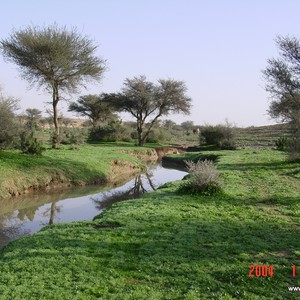 مكشات | شعيب الشوكي .. حيث الغدران والأودية وأشجار الطلح