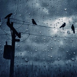 "الكهرباء" تعقد اجتماعاً طارئاً للتعامل مع عاصفة مسرة