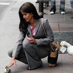 كيف تتجنب السرقة في بلاد السفر؟ وماذا تفعل لو سرقت؟