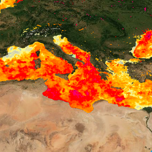 بسبب الموجات الباردة الأخيرة.. انخفاض درجة حرارة مياه الجزء الشرقي من البحر المتوسط مقارنة بالأشهر السابقة
