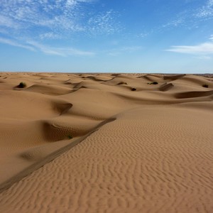 طقس الاحد : تراجع رياح البوارح المثيرة للغبار عن شرق ووسط البلاد