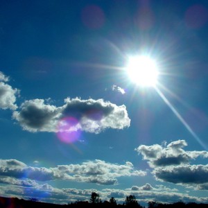 في مُنتصف الشتاء .. أجواء الربيع تطرق أبواب فلسطين الأسبوع القادم !