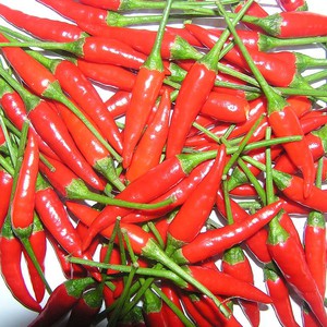 4 نباتات تغني عن استخدام المضادات الحيوية وتقي من آثارها الجانبية