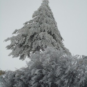 ثُلوج فجر وصباح الأربعاء على بعض الجبال جنوب المملكة 