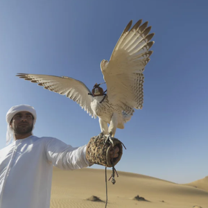 الإمارات | سحب ركامية شرقاً وجنوباً مع أجواء حارة نسبياً إلى حارة في عموم المناطق يوم الاثنين