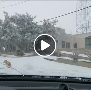 بث مُباشر | تغطية خاصة للمناطق المتأثرة بالهطولات الثلجية في محافظة الطفيلة