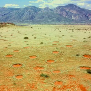 "دوائر الشياطين" الافريقية التي حيرت علماء الأرض.. شاهد الصور