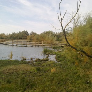 توقيع اتفاقية تعاون لإنشاء مسطح مائي جديد في محمية الأزرق