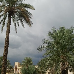 الاثنين: اشتداد حالة عدم الاستقرار على المناطق الغربية والمشاعر المقدسة والحرارة اعلى من معدلاتها