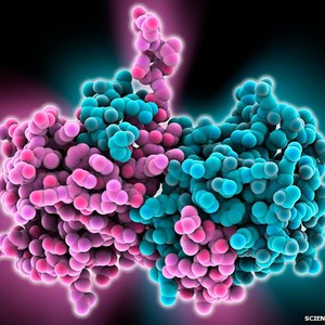 نيجيريا تحذر من أن فيروس إيبولا خطر على جميع دول الأرض دون استثناء