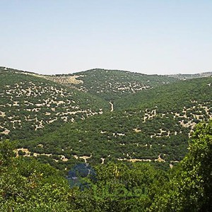 طقس صيفي إعتيادي مُتوقع في مختلف المناطق نهاية الأسبوع 