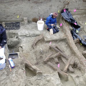 العثور على دلائل لوجود التجارة بين آسيا وأمريكا قبل كولومبوس