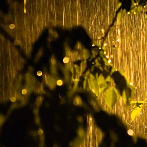  أسبوع شتوي ماطر بانتظار البلاد وتجدد الثلوج على بعض المرتفعات الجبلية