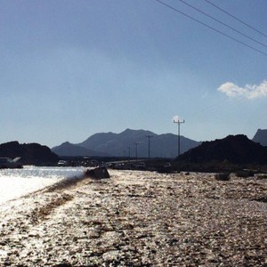 سيول المدينة.. احتجاز 82 شخصًا وأنباء عن مفقودين 