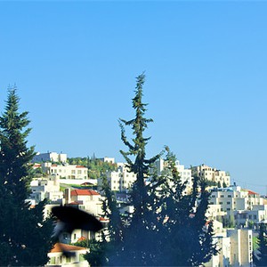 الاثنين : ارتفاع ملموس على درجات الحرارة وأجواء حارة نسبياً في أغلب المناطق