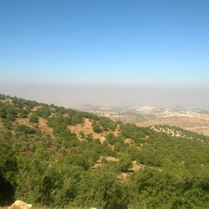 الاثنين | طقس صيفي اعتيادي نهارًا ولطيف ليلاً