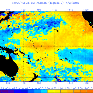 "النينو" تشتد في الأسبوعين الأخيرين بشكل متسارع وقياسي