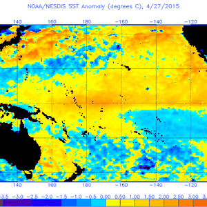 النينو تزداد قوة خلال الاسابيع الاخيرة