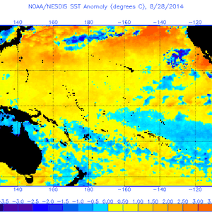 تكدس كبير للمياه الباردة شمال استراليا