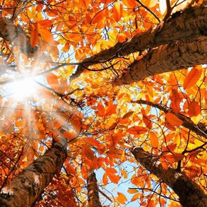 خرافات تتعلق بالصحة والطقس