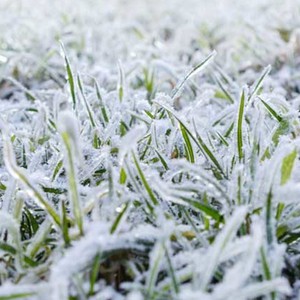 Avertissements émis par le ministère de l&#39;Agriculture sur les conditions météorologiques qui prévaudront au cours des prochains jours