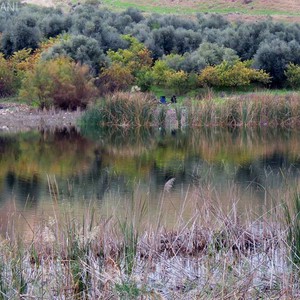 بالصور: اين تقضي إجازة عيد الأضحى في الأردن؟