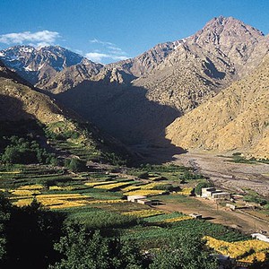 تراجع موجة الحر  واستمرار حالة حالة عدم الاستقرار الجوي على المملكة