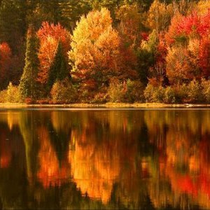 السبت: درجات الحرارة دون المُعدلات بأرقام كبيرة