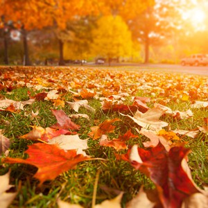 Quand commence l&#39;automne 2022 ?