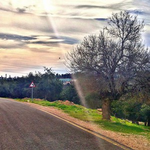 طقس الأربعاء: ارتفاع ملموس على الحرارة وأجواء مشمسة مُنتظرة