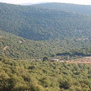 مع الانحسار المتوقع لموجة الغبار .. عجلون الوجهة الأفضل للرحلات غداً