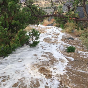 الثلاثاء.. نشاط للرياح السطحية وزخات أمطار متوقعة على المرتفعات