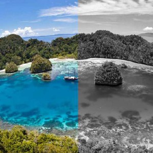 جزيرة لا يرى سكانها إلا باللون الأبيض والأسود .. ما قصتها؟