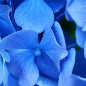 اللون الأزرق للتخلص من الأرق والإجهاد!