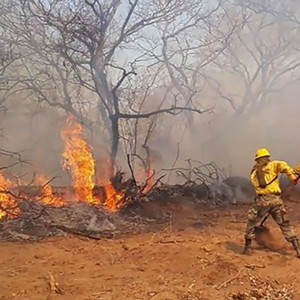 بوليفيا... الأمطار تساعد في إخماد حرائق الغابات المستعرة منذ شهرين