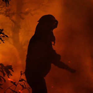 حرائق غابات مستعرة تودي بحياة 13 شخصا في تشيلي وتلتهم عشرات المنازل