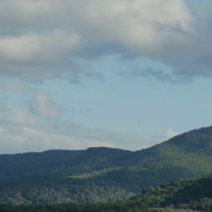 الاربعاء | طقس مُستقر مع ظهور كميات كبيرة من السحب المتوسطة والعالية "غير الماطرة"